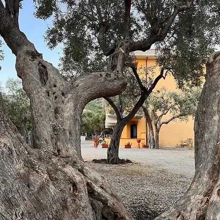 Il Pantheon - Apollo 公寓 Fuscaldo