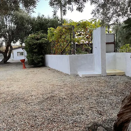 Apartment Il Pantheon - Apollo Marina di Fuscaldo