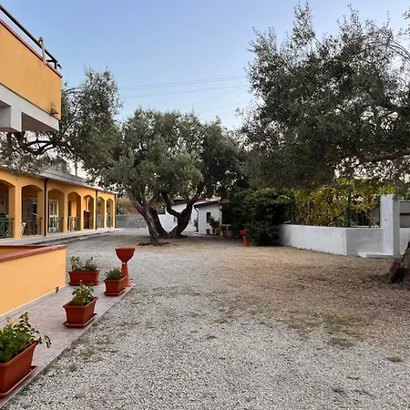 Il Pantheon - Apollo * Fuscaldo